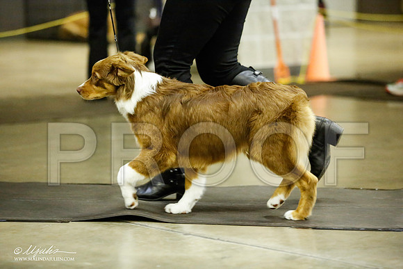 _JJ_6960-BeltonJan2015IABCA-HR3