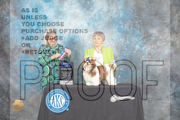 Shih Tzu #11 Sat WDBOW Judge Carol Pyrkosz_MJ_0239_HstnTOY_2022_HR3