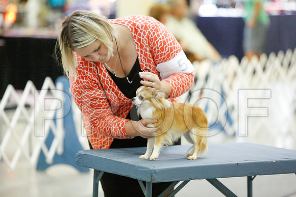 _JJ_2649-AmarilloSept2014-HR3
