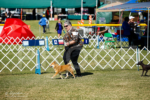 _JJ_1599-AlamogordoOct2014-HR3