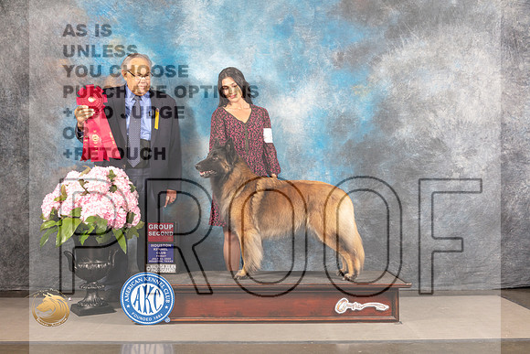 Belgian Tervuren #8 FRI G2 Judge John Wade_MJ_5967_Houston_2022_HR3