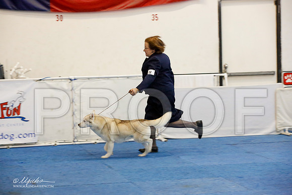 _M3_1183-AddisonHuskyMar2015-HR3