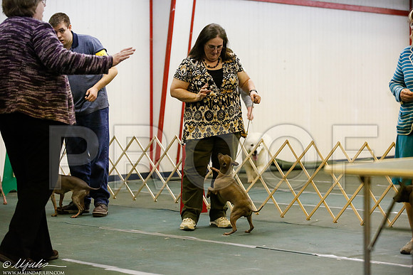 _JJ_3742-DentonMar2015-HR3