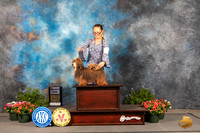 Havanese #17 Thur SD Judge Darryl Vice
