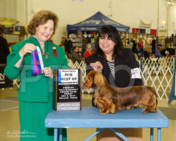 _RH_7833-DallasDec2014-HR3