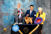 Pomeranian #11 Thur BOWBBEOHBOB Judge Luis Carlos Esperon