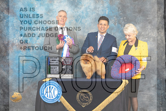 Pomeranian #11 Thur BOWBBEOHBOB Judge Luis Carlos Esperon_MJ_9493_HstnTOY_2022_HR3