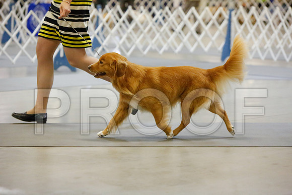 _JJ_2203-AmarilloSept2014-HR3