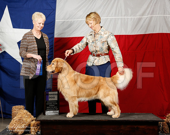 _ST_1487-2-AmarilloSep2014-HR3