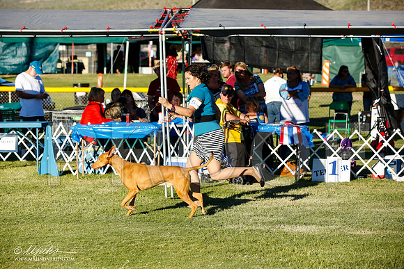 _JN_0131-AlamogordoOct2014-HR3