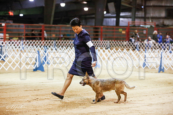 _JN_3985-2-GlenRoseJan2015-HR3