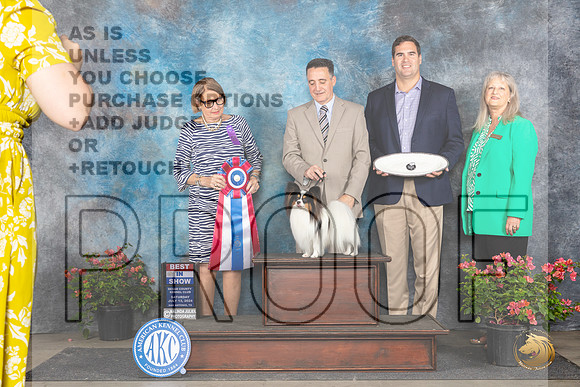Papillion #23 Sat BIS Judge Elizabeth ‘Beth’ Sweigart__JP_5599_San Antonio_2024_HR3