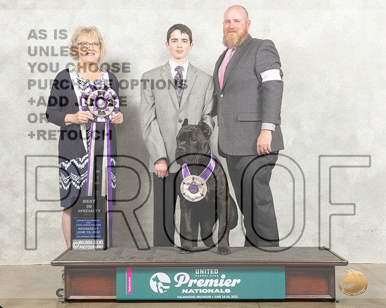 Cane Corso #104 Wed BISS Judge Kim Caines_MMJ_6922_Premier_2022_HR3