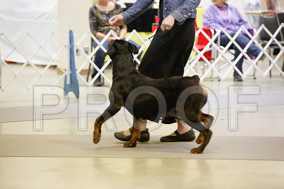 _JN_6698-AmarilloSept2014-HR3
