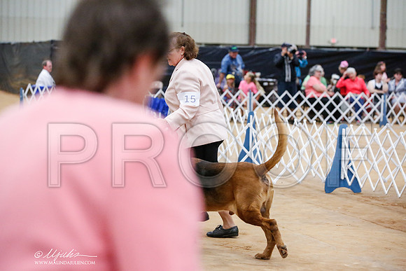 _JJ_8803-TxArJun2014-HR3