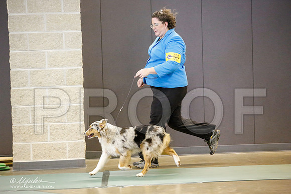 _JN_3729-BeltonJan2015-HR3