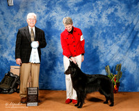 Belgian Sheepdog #6 Fri SB +A2