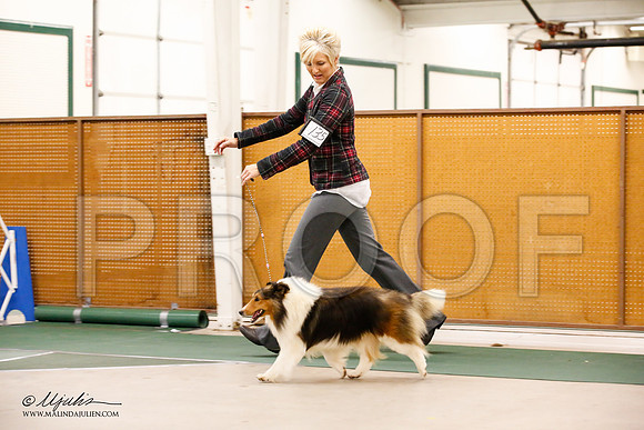 _JN_0023-NrmnNov2014-HR3
