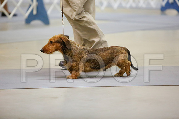 _JN_3767-AmarilloSept2014-HR3