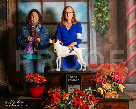 _ST_7165-2-NrmnNov2014-HR3