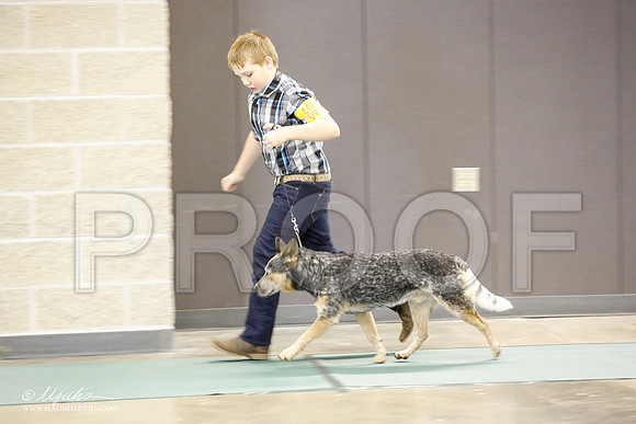 _JN_2270-BeltonJan2015-HR3