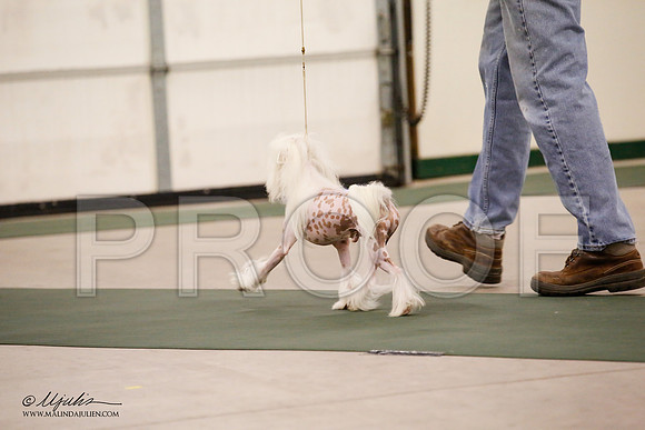 _JN_9045-NrmnNov2014-HR3