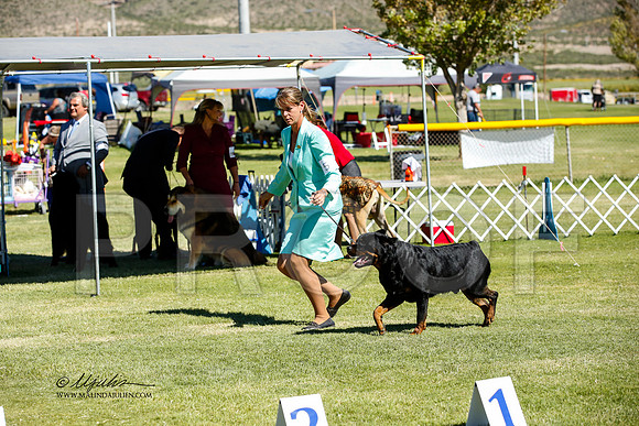_JN_1241-AlamogordoOct2014-HR3