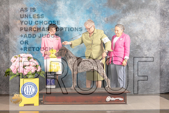 German Shorthaired Pointer #25 Thur G3 Judge Barbara Alderman_MJ_4509_Houston_2022_HR3