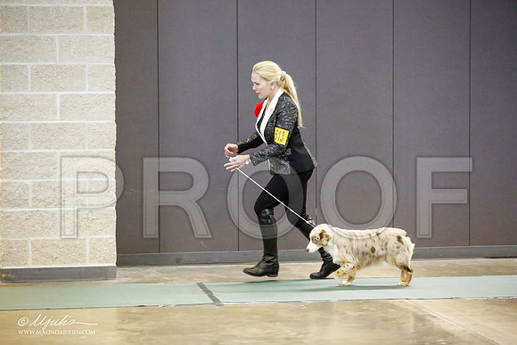 _JN_3244-BeltonJan2015-HR3