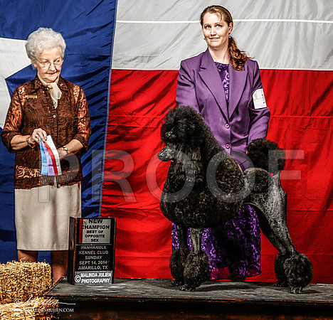 _ST_2115-AmarilloSep2014-HR3