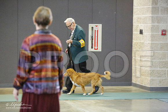 _LH_3077-BeltonJan2015-HR3