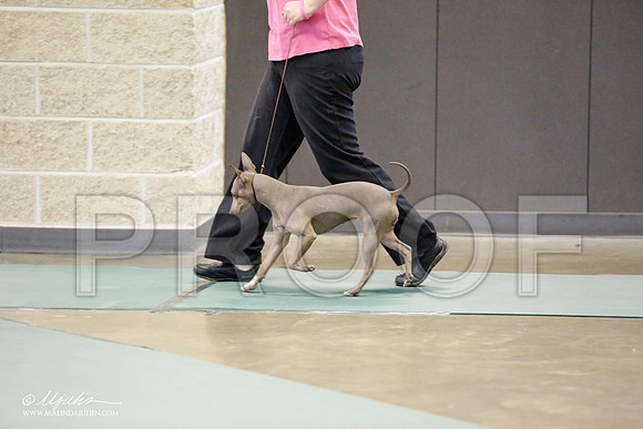 _RH_0124-BeltonJan2015-HR3