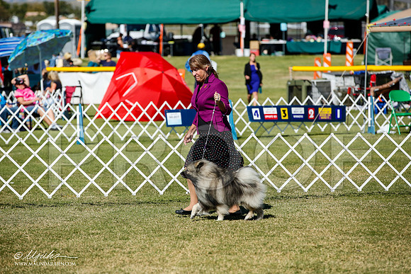 _JJ_1593-AlamogordoOct2014-HR3