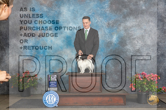Papillion #20 SG1 Judge Claire Wisch Abraham__JP_4253_San Antonio_2024_HR3