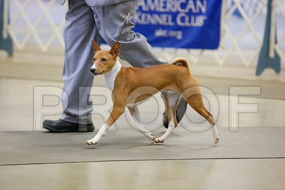 _JJ_3507-AmarilloSept2014-HR3