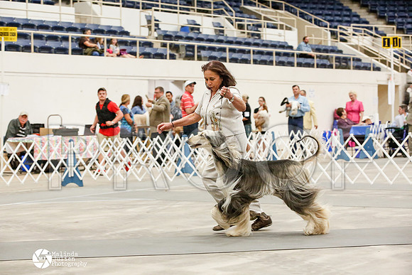 _JJ_0017-AblnMay2014-web