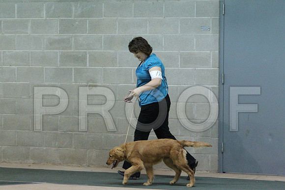 GoldenCCL_1851LR