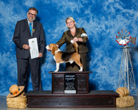 Beagles 15in #11 Thrs G4 Ayala Brooke Ann David Wolf Agent Brooke Young Judge Mr James G Reynolds