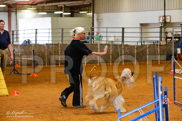 _MJ_2390-AfgBeltonOct2014-HR3