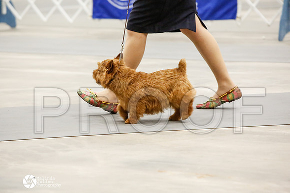 _CK_8812-AblnMay2014-web