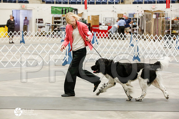 _HR_2133-AblnMay2014-web