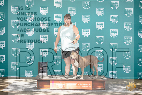 American Bully #124 Sun NC Judge Cody Larum__JP_1871_Longview WA_2024_HR3