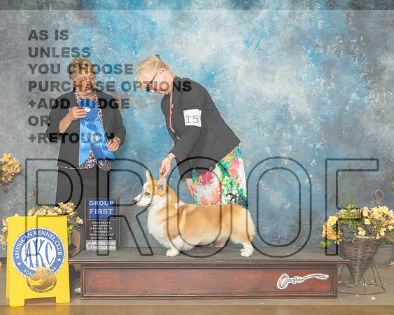 Pembroke Welsh Corgi #15 Thur G1 Judge Cathy Daugherty-MMJ_8988-NWARK2022-HR3