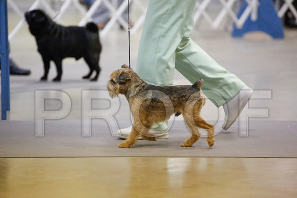_JN_8541-AmarilloSept2014-HR3