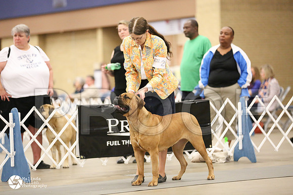 bullm-0993-FWMar14-HR3