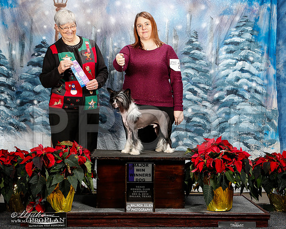 _ST_8546-2-DallasDec2014-HR3
