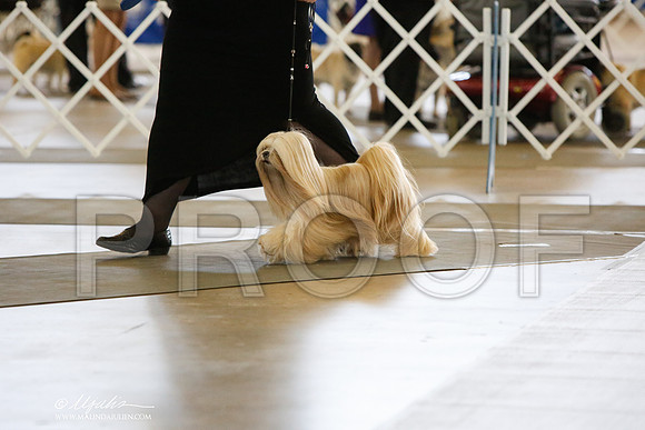_JJ_9133-DallasJul2014-HR3