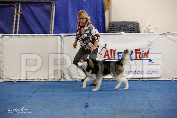 _M3_0027-AddisonHuskyMar2015-HR3