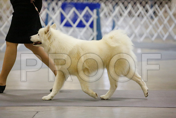_JJ_8047-AmarilloSept2014-HR3