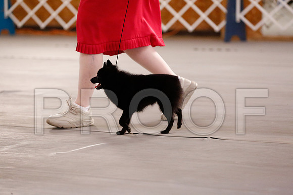 _RH_6681-CarlrolltonSept2014-HR3